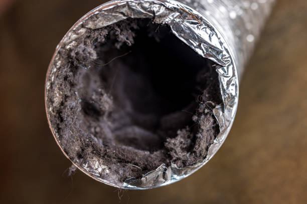 Best Mold and Mildew Removal from Ducts in Ely, MN