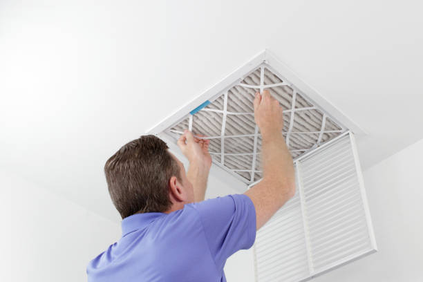 Best Dryer Vent Cleaning in Ely, MN